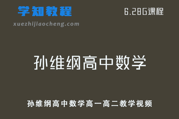 孙维纲高中数学教学课程全套高一高二教学视频