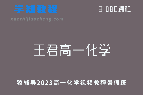 高中化学网课教程猿辅导2023王君高一化学视频教程暑假班