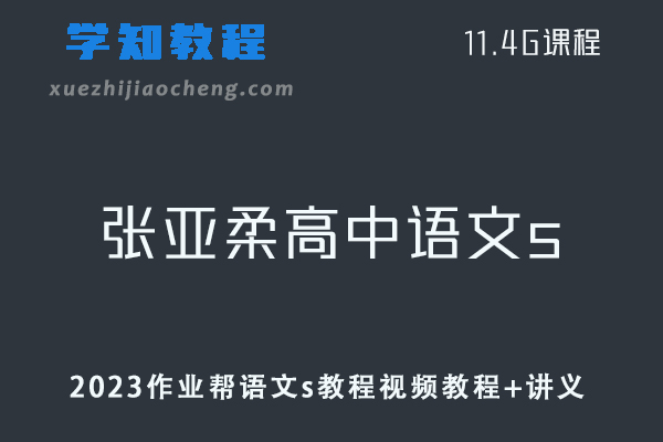 高中语文网课教程作业帮2023张亚柔语文s全年班视频教程+讲义（暑假班）
