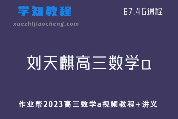 作业帮高中数学网课教程23年【刘天麒】高三数学a视频教程+讲义（暑假班）