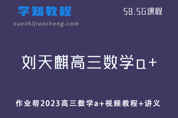 高中数学网课教程作业帮2023刘天麒高三数学a+视频教程+讲义（暑假班）