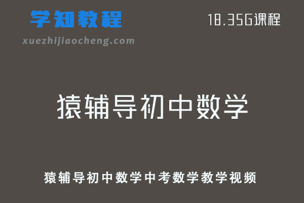 猿辅导初中数学网课教程中考数学教学视频