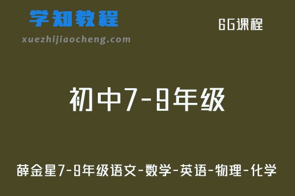 初中网课教程薛金星初中全解7-9年级语文-数学-英语-物理-化学全套