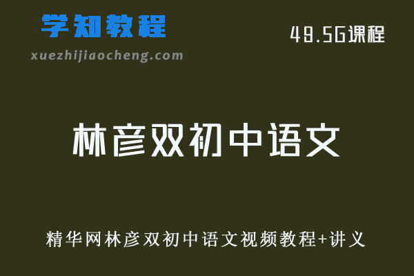 初中语文网课教程精华网林彦双初中语文视频教程+讲义