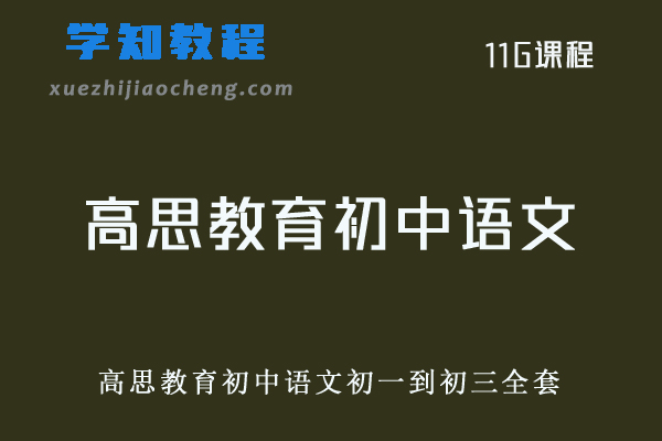 初中语文网课教程高思教育初中语文视频教程+讲义-初一到初三全部课程全套