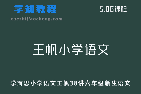 学而思小学语文王帆38讲六年级新生语文（沪教版）