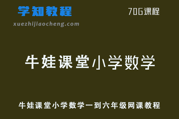 牛娃课堂小学数学一到六年级网课教程