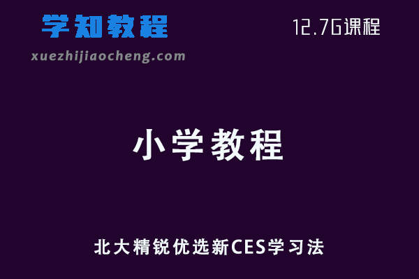 小学网课教程北大精锐优选新CES学习法视频教程+讲义-速算-英语-作文