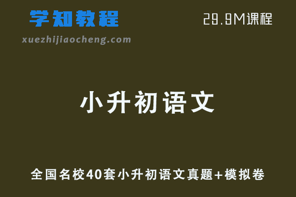 小学语文网课教程全国名校40套小升初语文真题+模拟卷