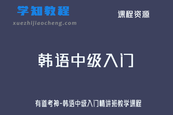 有道考神-韩语中级入门精讲班教学课程