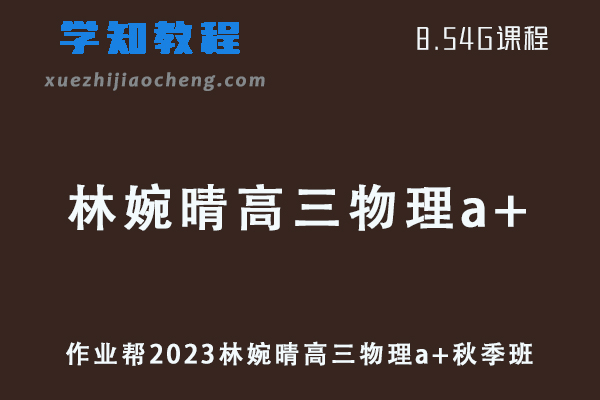 作业帮高中物理网课2023林婉晴高三物理a+视频教程+讲义秋季班
