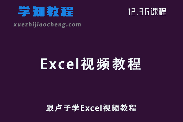 办公软件网课跟卢子学Excel视频教程学习资源下载