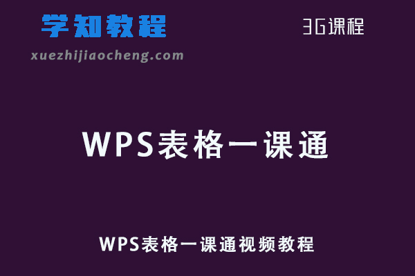 办公软件网课教程WPS表格一课通视频教程