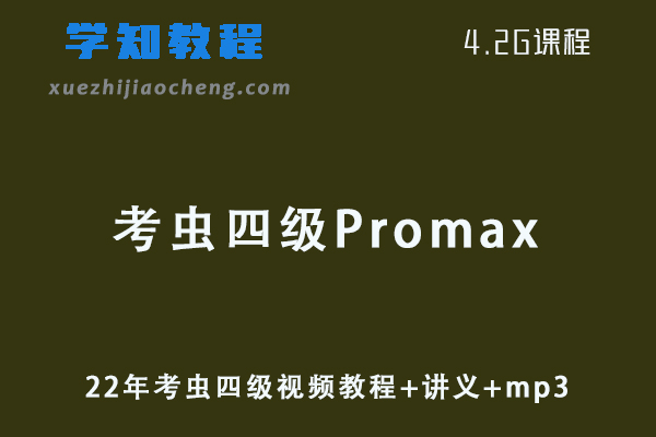 英语四级考证网课22年考虫四级Promax全程视频教程+讲义+mp3