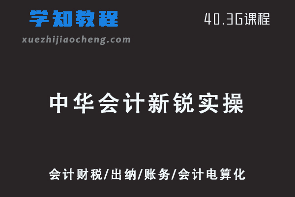 中华会计新锐实操训练营视频教程+讲义-会计财税/出纳/账务/会计电算化