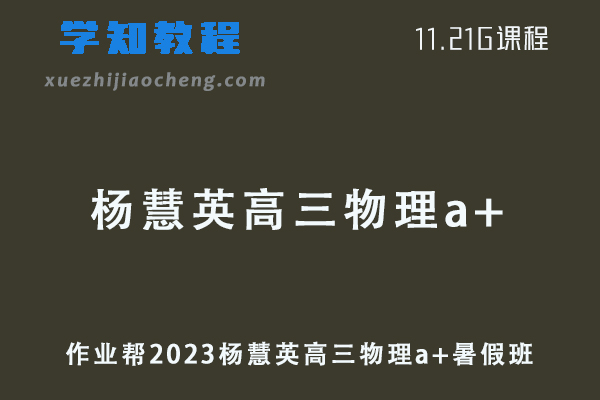 作业帮高中物理网课2023杨慧英高三物理a+视频教程+讲义暑假班