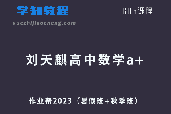 作业帮高中数学网课2023刘天麒高三数学a+一轮复习视频教程+讲义（暑假班+秋季班）