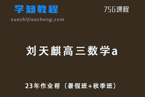 作业帮高中数学网课2023刘天麒高三数学a视频教程+讲义（暑假班+秋季班）
