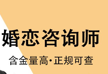情感咨询师-高效就业班18节教程