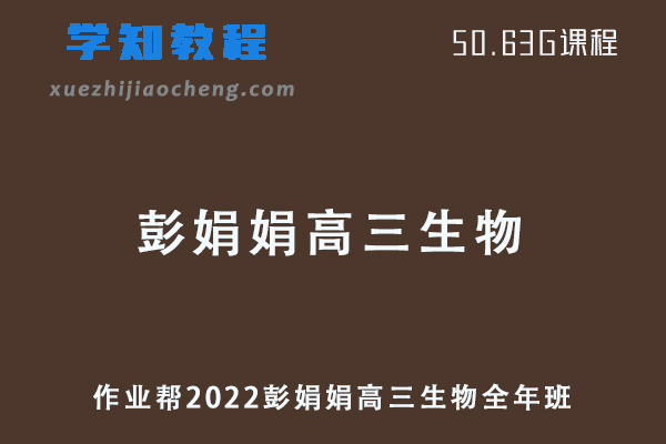 作业帮2022彭娟娟高三物理复习视频教程+讲义全年班（暑假+秋季+寒假+春季）