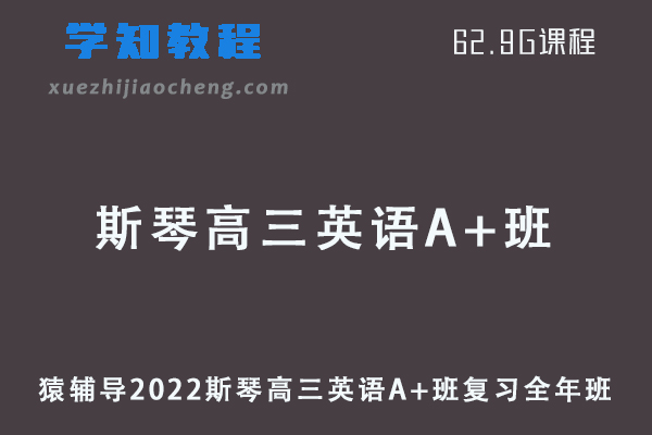 猿辅导2022斯琴高三英语A+班高考复习视频教程+讲义全年班