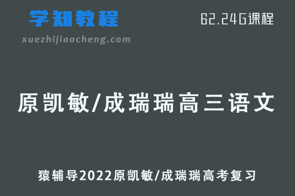 猿辅导2022原凯敏/成瑞瑞高三语文a+班高考复习视频教程+讲义全年班