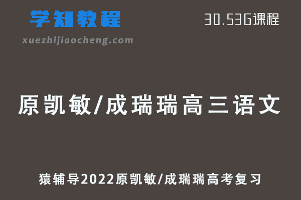 猿辅导2022原凯敏/成瑞瑞高三语文S班高考复习视频教程+讲义全年班
