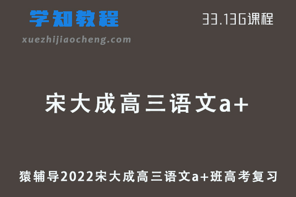猿辅导2022宋大成高三语文a+班高考复习视频教程+讲义全年班