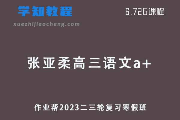 作业帮2023张亚柔高三语文a+高考二三轮复习视频教程+课堂笔记寒假班