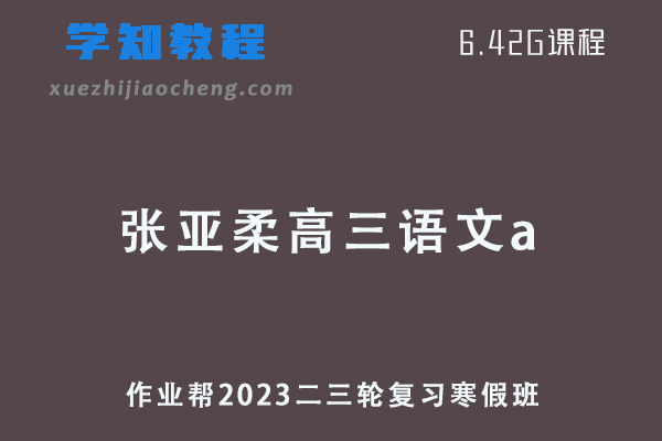 作业帮2023张亚柔高三语文a二三轮复习视频教程+课堂笔记寒假班