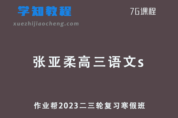 作业帮2023张亚柔高三语文s高考二轮复习视频教程+课堂笔记寒假班