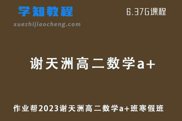 作业帮网课2023谢天洲高二数学a+班视频教程+课堂笔记寒假班