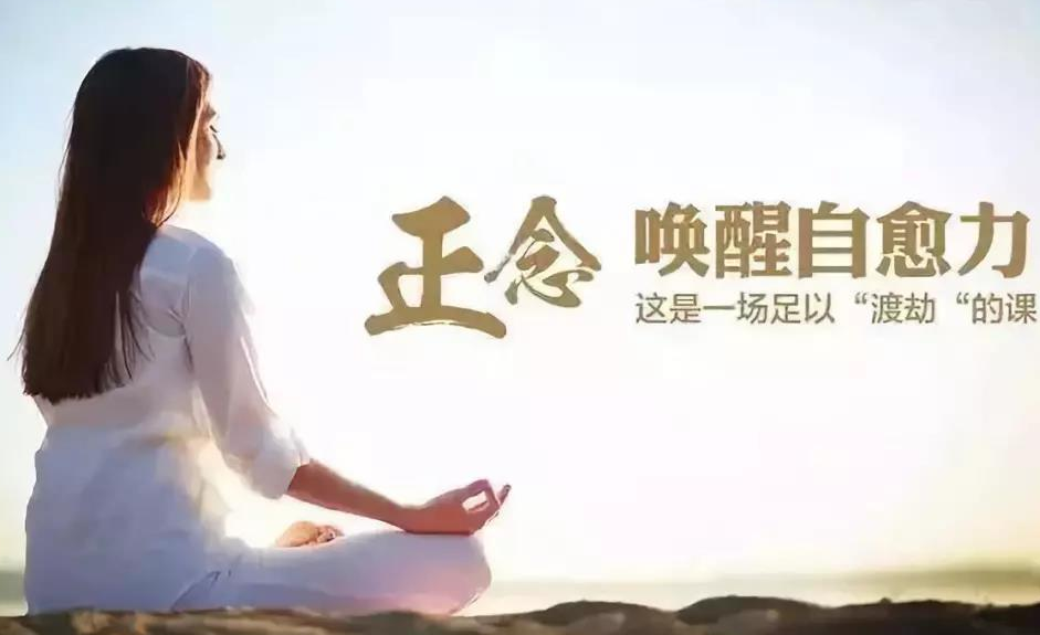 11课正念训练课教程
