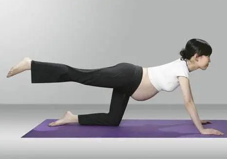 孕妇瑜伽全套视频教程