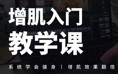 桌叔增肌入门教学课程