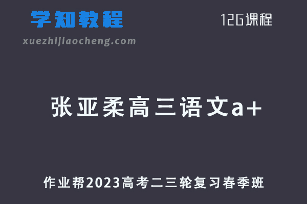 作业帮2023张亚柔高三语文a+班课程23年高考语文二三轮复习教程春季班