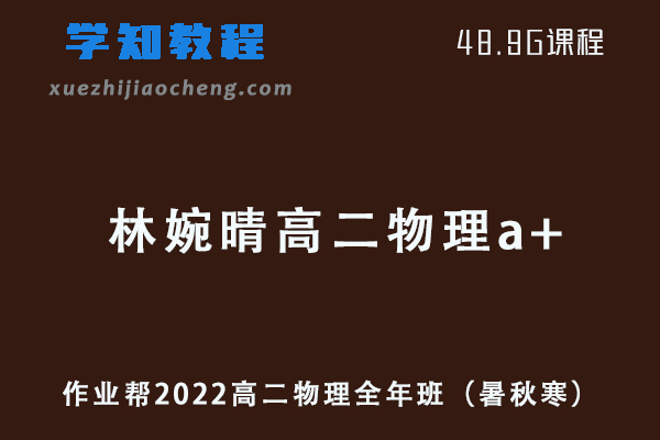 作业帮2022林婉晴高二物理a+全年班课程+课堂笔记+讲义