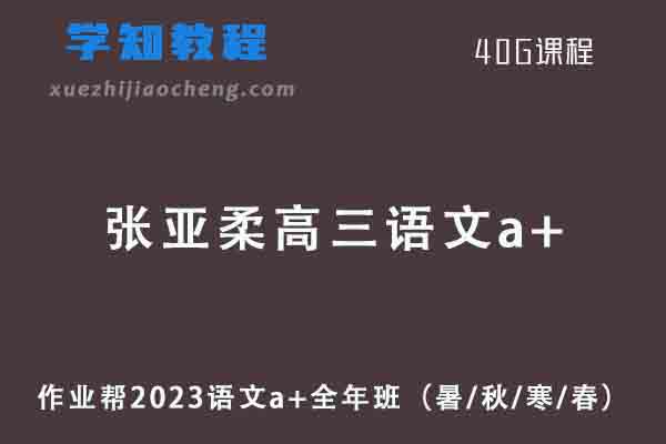 张亚柔2023高三语文a+全年班（暑/秋/寒/春班）