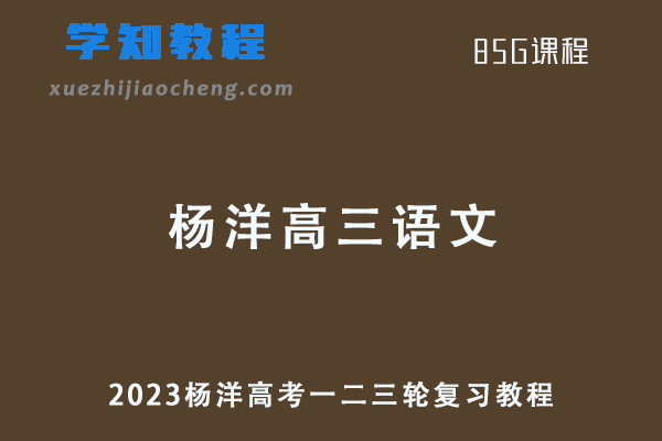 杨洋2023杨洋高考语文一二三轮复习教程